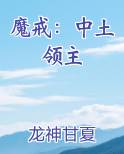 魔戒：中土领主
