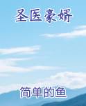 圣医豪婿