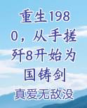 重生1980，从手搓歼8开始为国铸剑
