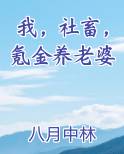 我，社畜，氪金养老婆最新
