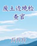 废土边境检查官