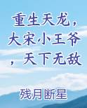 重生天龙，大宋小王爷，天下无敌