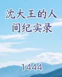 沈大王的人间纪实录