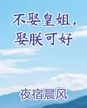 不娶皇姐，娶朕可好