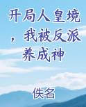 开局人皇境，我被反派养成神