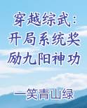 穿越综武：开局系统奖励九阳神功