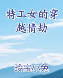特工女的穿越情劫