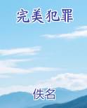 完美犯罪