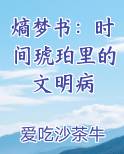 熵梦书：时间琥珀里的文明病