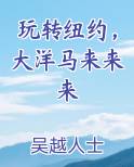 玩转纽约，大洋马来来来小说排行榜