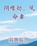 阴缘劫，凤命妻