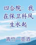 四合院：我在保卫科风生水起