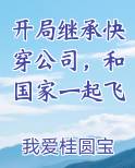 开局继承快穿公司，和国家一起飞